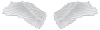 Angel Wings